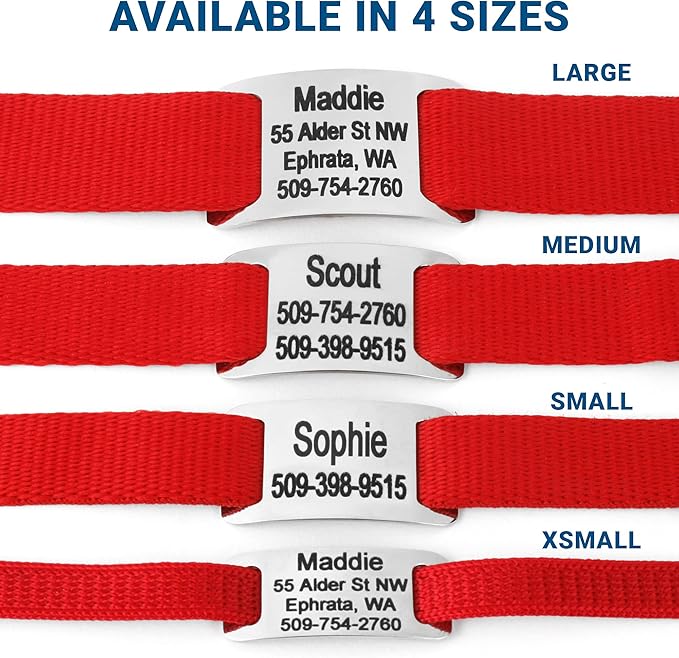 GoTags Personalized Dog Collar with Nameplate, Adjustable Dog Collar with Custom Engraved Slide On Pet ID Tag in Stainless Steel, Silent, No Noise Dog Tag for Large Medium and Small (Red, Large)