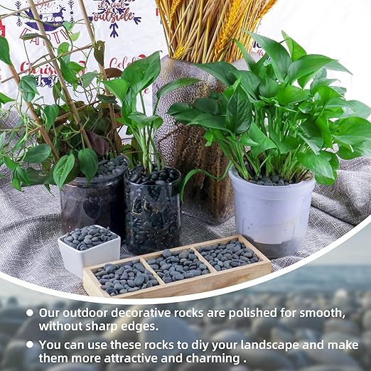 18lb Small Smooth River Rocks Pebbles for Plants & Succulents, Decorative Outdoor Landscaping Garden Rocks, Natural Mexican Beach Pebbles, Gravel for Aquarium, Fish Tanks, Vase and Yard Decor