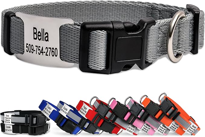 GoTags Personalized Dog Collar with Nameplate, Adjustable Dog Collar with Custom Engraved Slide On Pet ID Tag in Stainless Steel, Silent, No Noise Dog Tag (Light Gray, Large)