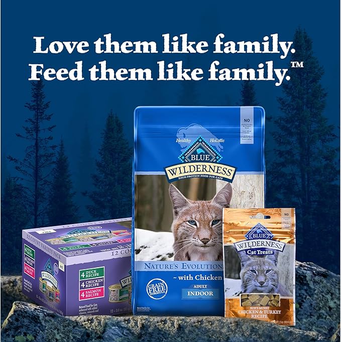 Blue Buffalo Wilderness Wild Delights Meaty Morsels Wet Cat Food, High-Protein & Grain-Free, Made with Natural Ingredients, Chicken & Trout Recipe in Tasty Gravy, 3-oz. Cans (24 Count)
