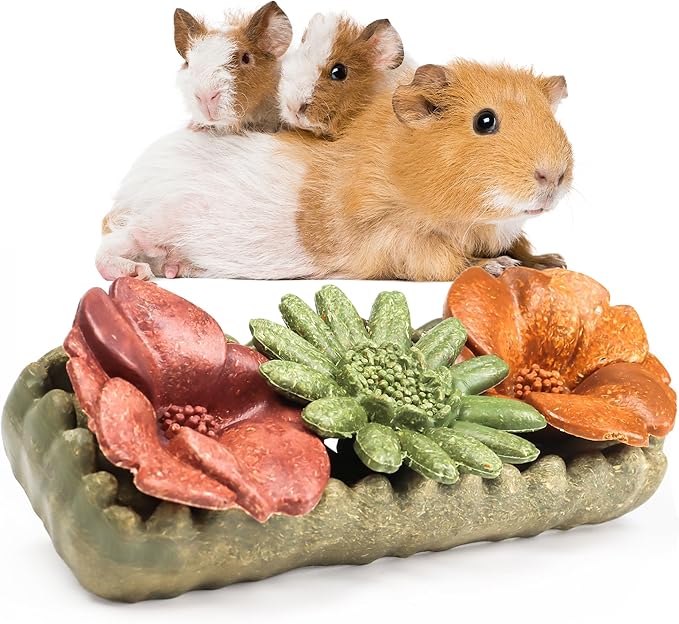 TEEWY 4PCS Guinea Pig Chew Toys, Prevent Teeth Overgrowth, Natural Vegetables and Timothy Grass, Hamster Chew Toys, Guinea Pig Toys, Chinchilla Toys, Grass Patch & Flowers