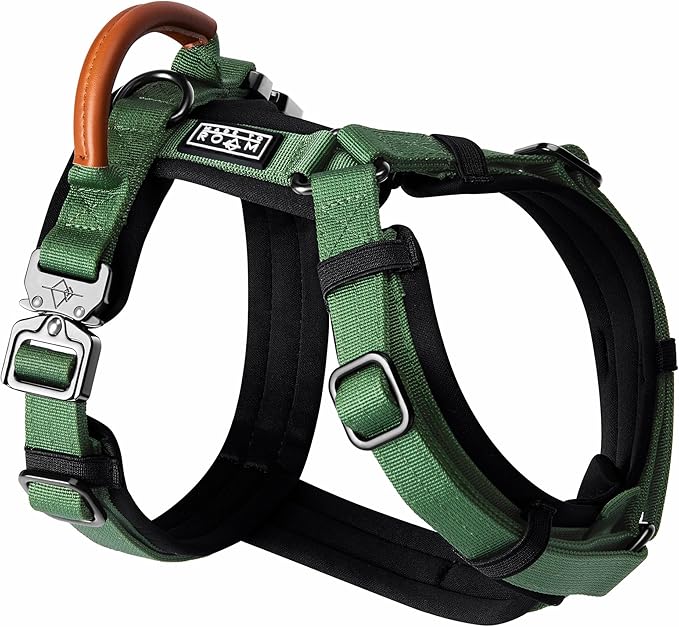 MADE TO ROAM Premium Explorer Harness - Y-Shaped Dog Harness with Adjustable Durable Nylon, Soft Padding, Metal Buckles and Leather Handle for Small, Medium, Large Dogs (Oregon Haze, Size 5)