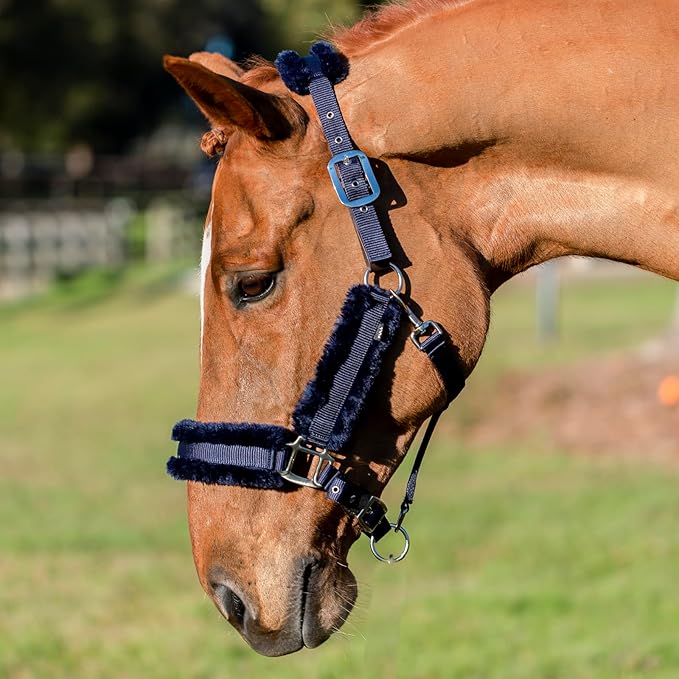 Equinavia Valkyrie Soft Ultra Fleece Padded Adjustable Breakaway Horse Halter - Navy/Navy - Horse