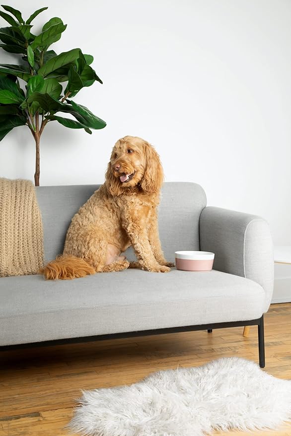 Waggo Dipper Ceramic Dog Bowl for Small and Large Breeds - Heavyweight and Durable Pet Food and Water Dish Crock, Dishwasher Safe, Modern (Rose, Medium)