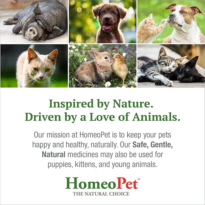 HomeoPet Feline Anxiety Relief, Natural Stress and Anxiety Support, Anxiety Supplement for Cats, 15 Milliliters