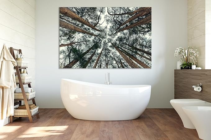 Nature Wall Art Prints - Ocean Forest Mountain Lake Canvas Landscapes - Small to Extra Large Living Room Bedroom Kitchen Bathroom Décor (Trees and Sky, 20L" x 30W")