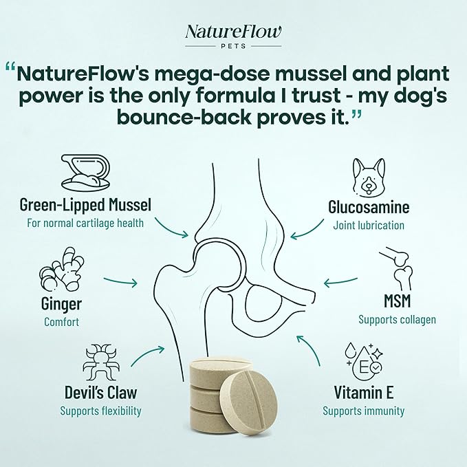 Joint Supplement for Dogs, Power of Nature Made in USA, Unique Formula: Green-Lipped Mussel, Glucosamine, Chrondroitin, MSM, Devils Claw, Hip and Joint Supplement, All Breeds - 100 ct