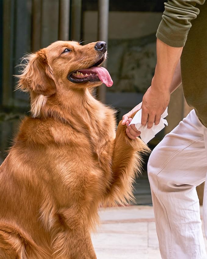 HICC PET Cleaning Deodorizing Wipes for Dogs & Cats, Vet Recommended Nourishes Smoothes Fur Pet Grooming Wipes with Fermented Coconut Oil, Hypoallergenic Plant-Based Dog Wipes for Paws and Butt