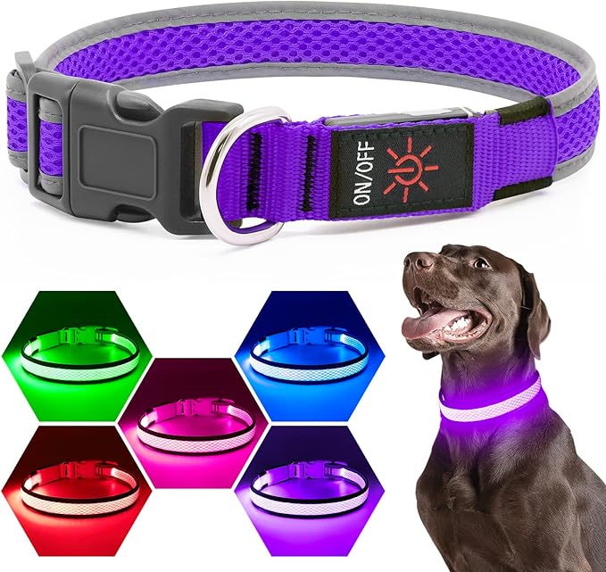 LED Dog Collar, Light Up Dog Collar USB Rechargeable, Brightest Dog Lights for Night Walking, Adjustable Dog Collar Light for Dog Safety (Purple, Medium)