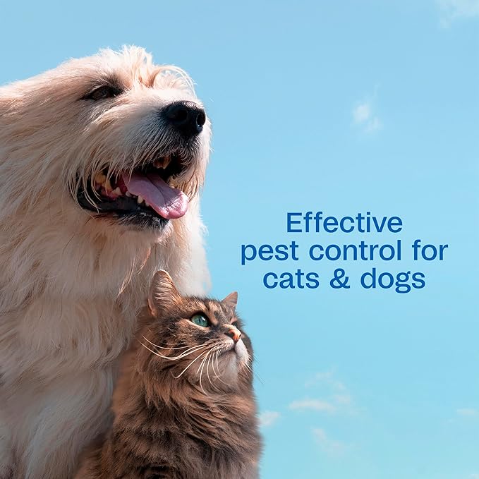 ADAMS Plus Flea & Tick Shampoo with Precor IGR for Cats, Kittens, Dogs & Puppies Over 12 Weeks Of Age, Sensitive Skin Flea Treatment, Kills Adult Fleas, Flea Eggs, Ticks, and Lice, 1 Gallon