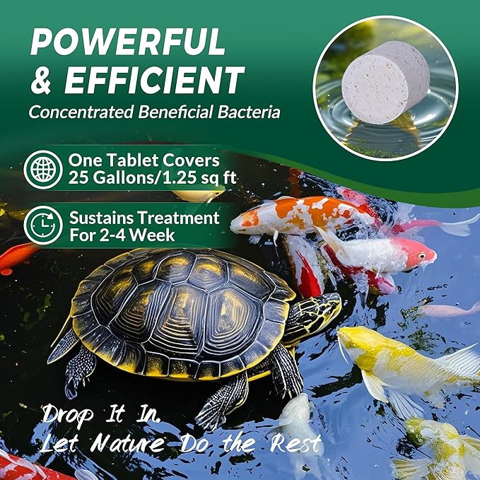 Muck Clear – Natural Pond Sludge Treatment, 500 Tablets for Ponds, Fountains & Bird Baths, Beneficial Bacteria & Enzymes, Chemical-Free & Safe for Fish, Pets & Wildlife