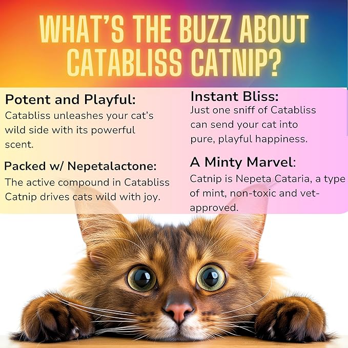 1oz Cat Nip for Cats, Turbo Charging Blend for Refillable Catnip Toys, 100% Essential Natural Cat Weed Treat, Non-Addictive, Enhancing Play for Indoor Cats