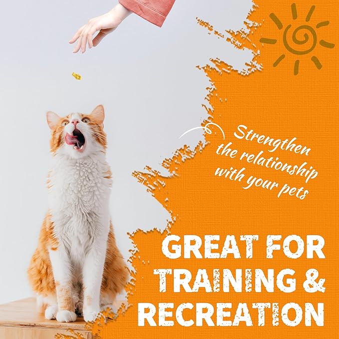 Just Try 13.4 OZ Pumpkin Cat Treats Cat Constipation Relief Hairball Control Healthy Salmon Snacks Training Biscuits Treats for Digestive Support Low Calorie Kitten Snacks