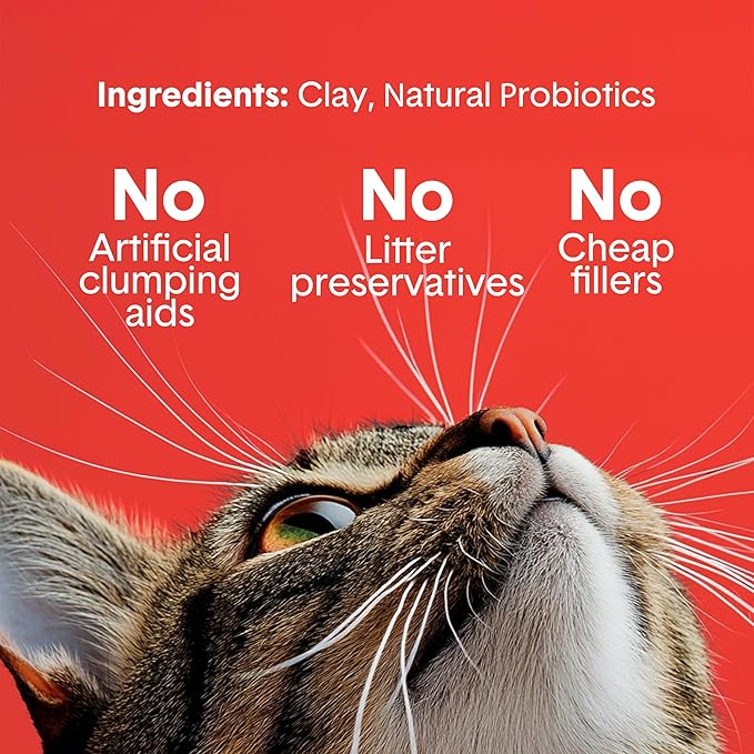 Boxie® Extra Strength 35 Day Odour Control Clumping Clay Cat & Kitty Litter 16lb, 99.9% Dust-Free, Probiotic Formula, Long-Lasting, Veterinarian Approved, Easy Scooping for Multi-Cat Homes