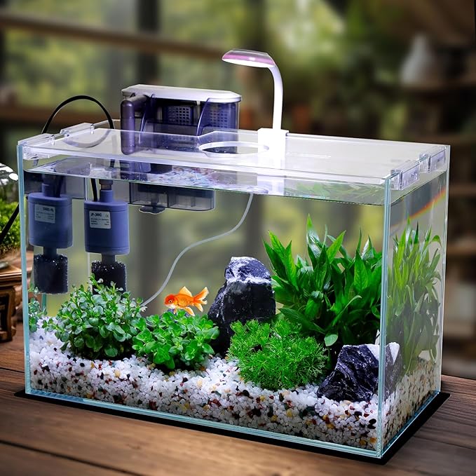 5 Gallon Glass Small Fish Tank, Betta Fish Tank Starter Kit with Filter, Lights, Lid.