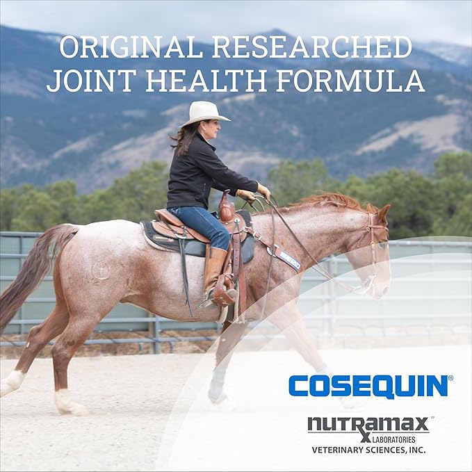 Nutramax Cosequin Original Pellets Joint Health Supplement for Horses - with Glucosamine and Chondroitin, 910 Grams