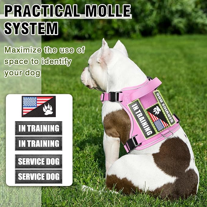 WINSEE Service Dog in Training Harness with 5 PCS Patches, Reflective Tactical Dog Vest Harness, Adjustable Soft Oxford Pet Harness with Easy Control Handle, Hook & Loop Panels for Walking Hiking
