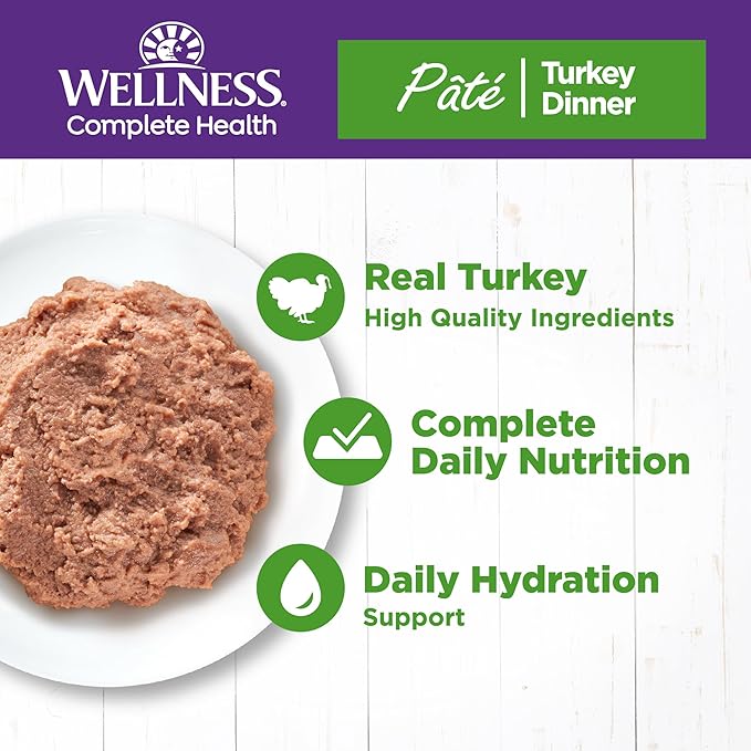 Wellness Complete Health Pate Adult Wet Cat Food, Natural, Protein-Rich, Grain Free, 5.5 Ounce, 24 Pack, (Turkey)