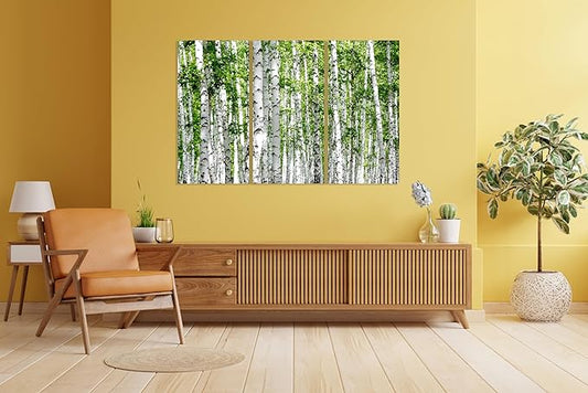 Nature Wall Art Prints - Ocean Forest Mountain Lake Canvas Landscapes - Small to Extra Large Living Room Bedroom Kitchen Bathroom Décor (Green Brich Trees, 47L" x 71W" - 3 panels)