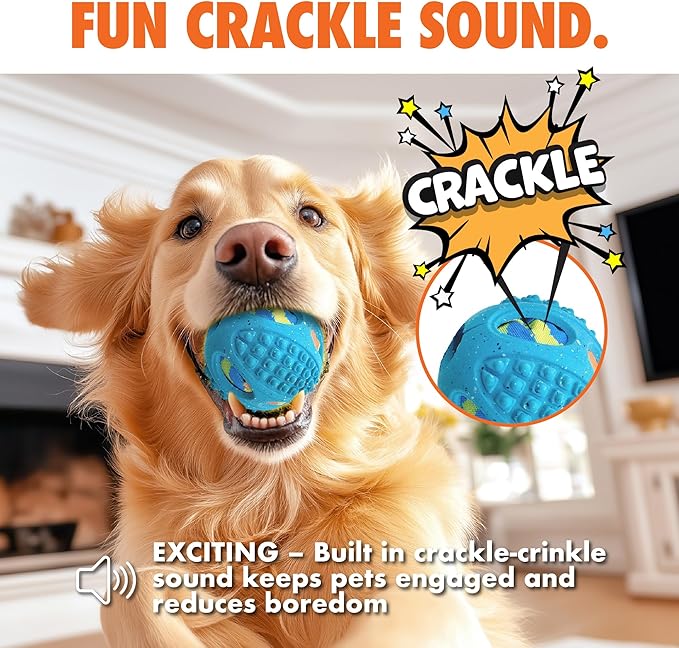 Max Fusion with Nike Grind, Arlee Meteor Dog Toy, Chew Toy for Play, Fetch, Tug, M