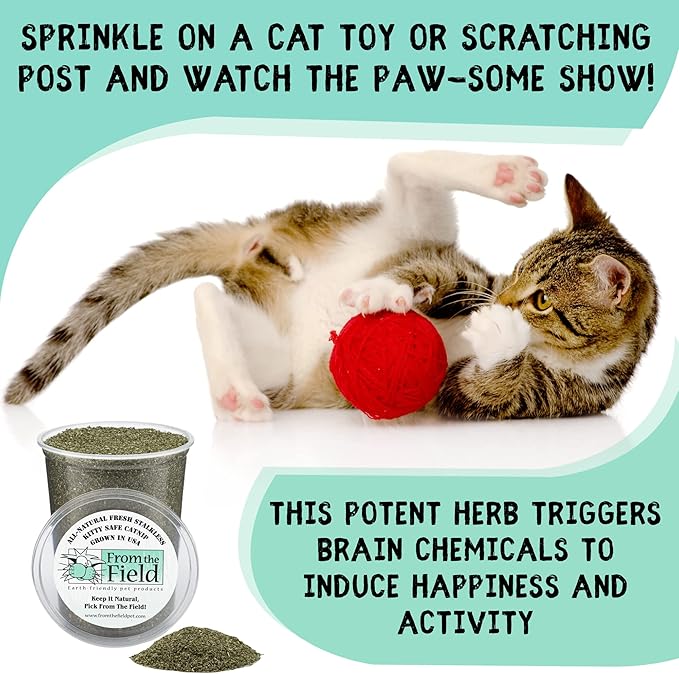 from The Field | Fine Ground Stalkless Catnip | Premium USA-Grown Catnip for Toys & Playtime | Fresh, Potent, Non-Toxic, Eco-Friendly | Safe for Kittens & Cats | Resealable 3.5 oz Tub