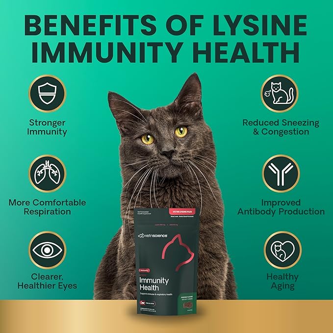VetriScience Lysine Immunity Health Chews, 250 mg Lysine Plus Immune Supplement for Cats and Kittens with Allergies, Sneezing, Runny Nose and Watery Eyes, Chicken, 120 Count