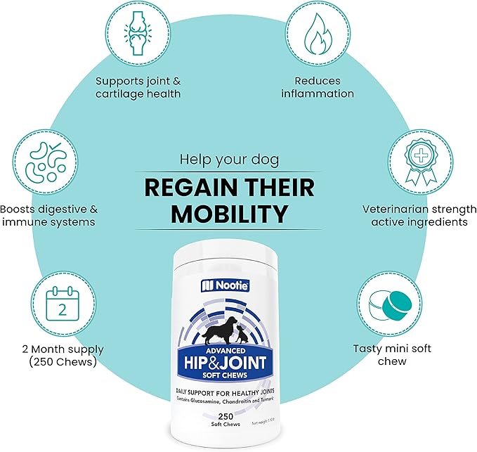 Nootie Glucosamine for Dogs - 250 ct - Hip and Joint Soft Chews Supplement for Dogs - Daily Dog MSM Chondroitin Chews with Turmeric - Joint Care Vitamins for All Breeds and Sizes USA