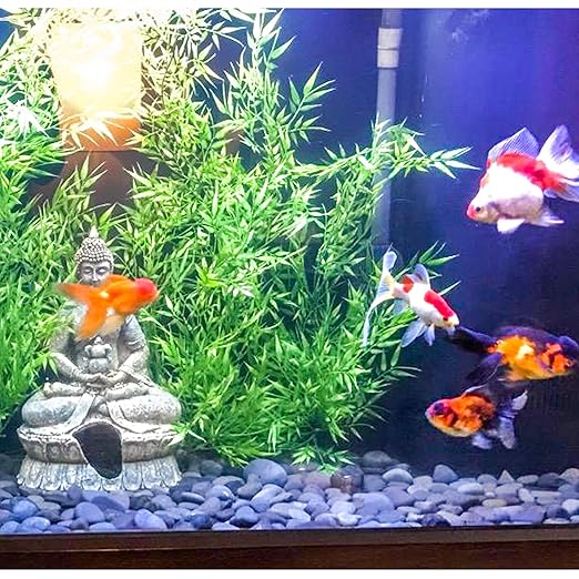 5 lbs Mexican Beach Pebbles, 0.4-1 Inch Natural River Rocks for Indoor Plants Vase Fish Tank Aquarium Fountain, Decorative Stone for Landscaping Garden Paving Walkways Backyard, Grey