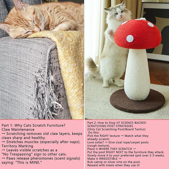 Mushroom Cat Scratcher, Cute Cat Scratching Post, Durable Sisal Rope Cat Scratching Board, Kitten Tree, Cat Toy for Cats to Play and Care for Their Claws, No Assembly Required (Red, Big, 7)