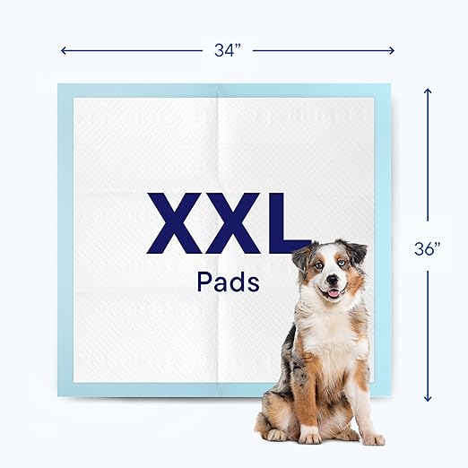 Puppy Pads Pet Pee Pads 34" x 36" [100-Count] Pet Training Disposable Pads, Extra Large Breed, Leak-Proof, Bulk Case Pack - for Golden Retrievers, Boxers, Great Danes, Heavy Duty Surface Protector