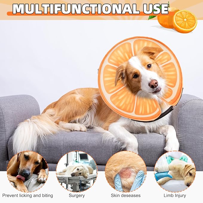 KOOLTAIL Inflatable Dog Cone Collar, Soft Dog Cone Alternative for Large Medium Small Dogs After Surgery, Cute Costume Adjustable Donut Neck Cone for Dogs Cats, Comfortable Recovery E Collar,Orange M