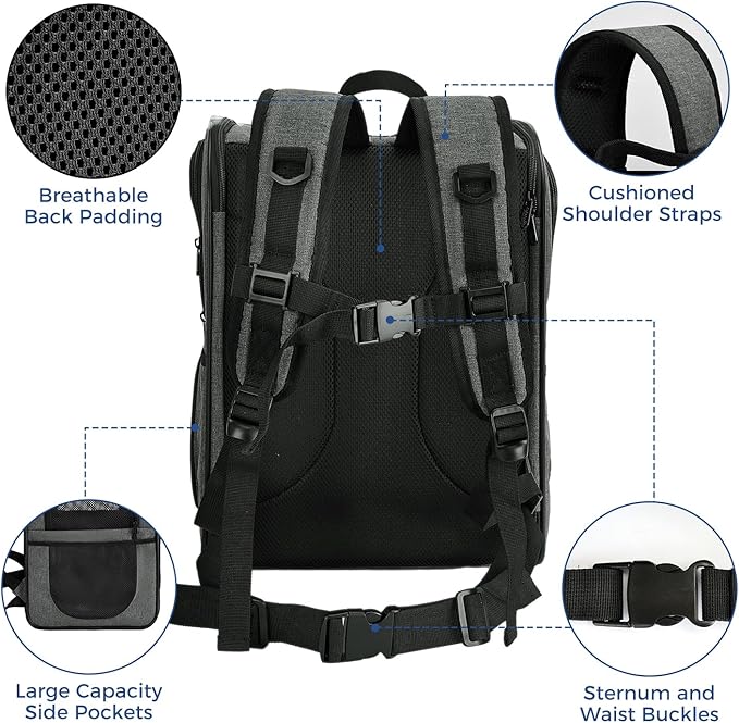 Apollo Walker Pet Carrier Backpack for 4-15lb Cats and Dogs, Puppies, Safety Features and Cushion Back Support | for Travel, Hiking, Outdoor Use (Gray)