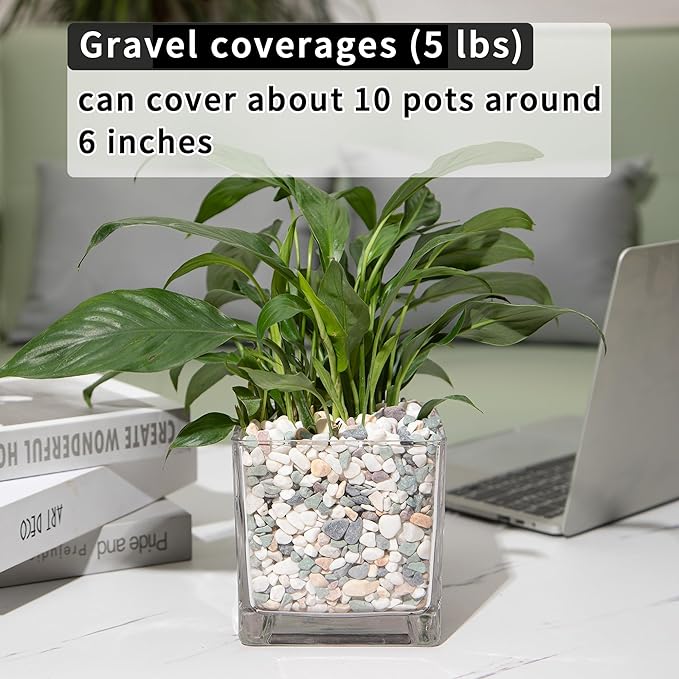 5lb Succulent and Cactus Gravel Pebbles 1/5-3/8 Inch Natural Decorative Polished Stones River Rocks for Plants, Vases, Aquariums, Terrarium and Outdoor Gardening, Mixed Color