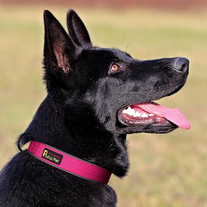 Plutus Pet Tactical Dog Collar, Reflective, Adjustable Heavy Duty Dog Collar, Soft Padded and Comfortable, for Small Medium and Large Dogs (Hot Pink, XL)