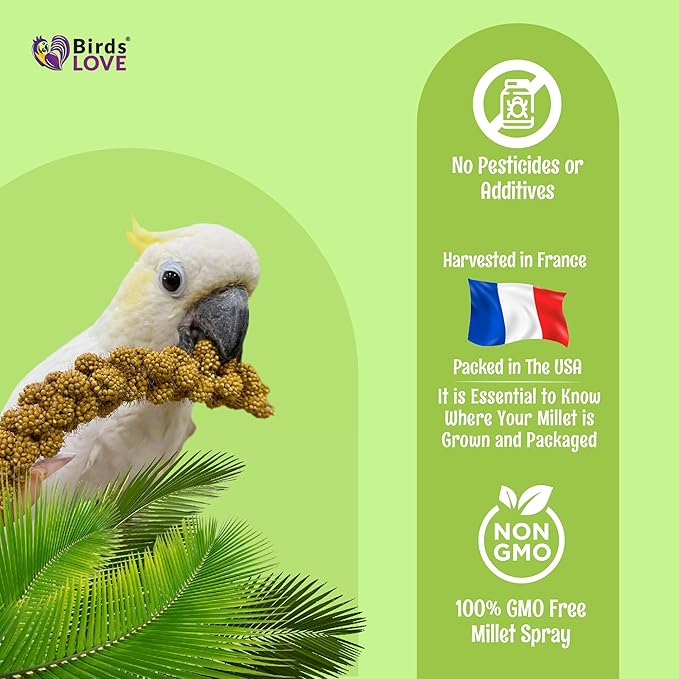 Birds LOVE French Kissed Spray Millet for Birds - Parakeets, Cockatiels, Lovebirds, Finches, Budgies, Canaries, Cockatoos - Natural & Healthy Bird Millet - Parakeet Food & Treats for All Parrots 5lbs