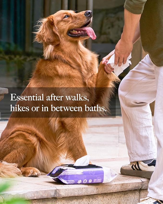 HICC PET Wipes for Dogs and Cats, Vet-Recommended Pets Cleaning Wipes, Deodorizing Hydrating, Nourishes Smoothes Fur, Fermented Coconut Oil Grooming Paws, Body and Butt, Thicken, Unscented, 100 Count