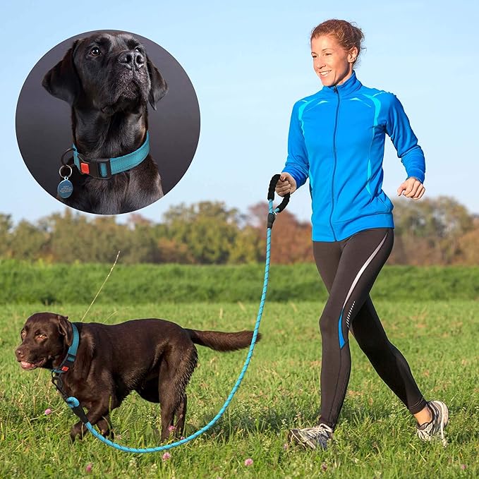 Heavy Duty Dog Leash - Comfortable Padded Handle, 5 ft Long - Dog Leashes for Small Medium Large Dogs (Leash+Collar M Neck 16"-20", Blue)