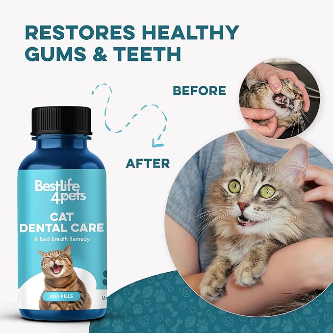Cat Bad Breath & Oral Health Remedy, Natural Dental Care Cats Teeth, Mouth and Gums, Easy to Use Daily Supplement for Stomatitis, Gingivitis, Plaque & Tartar Control for Cats, 800 Small Pills