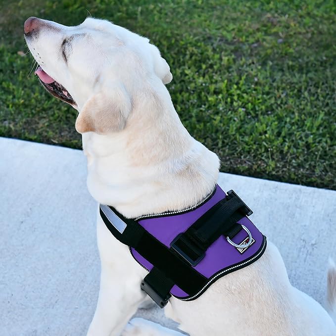 Dogline Dog Harness, Reflective No-Pull Adjustable Vest with Handle for Walking, Training, Breathable, No - Choke Harness for Small, Medium or Large Dogs Room for Patches Girth 15 to 18 in Purple