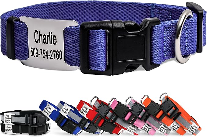 GoTags Personalized Dog Collar with Nameplate, Adjustable Dog Collar with Custom Engraved Slide On Pet ID Tag in Stainless Steel, Silent, No Noise Dog Tag (Lavender, Large)