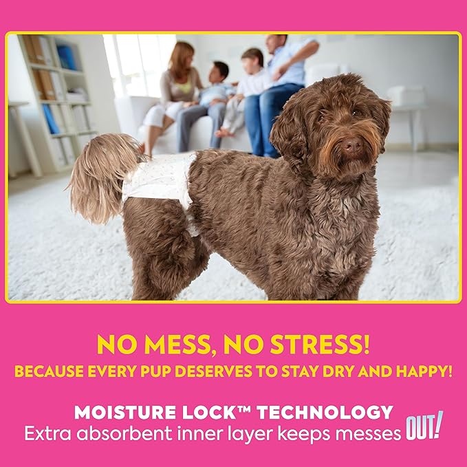 OUT! PetCare Disposable Dog Diapers Female, Potty Training, Dog Diapers, Female Doggie in Heat, Puppy Training, Incontinence, Puppy Essentials 9”-14” Waist (Toy, 32ct)