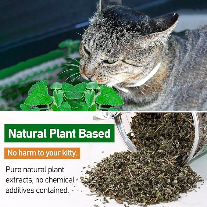 TZL Natural Catnip, Organic Cat Grass, Dried Catnip Leaves, Used for Refillable Catnip Toys, Delicately Sealed and Packaged for Easy Store (40g)