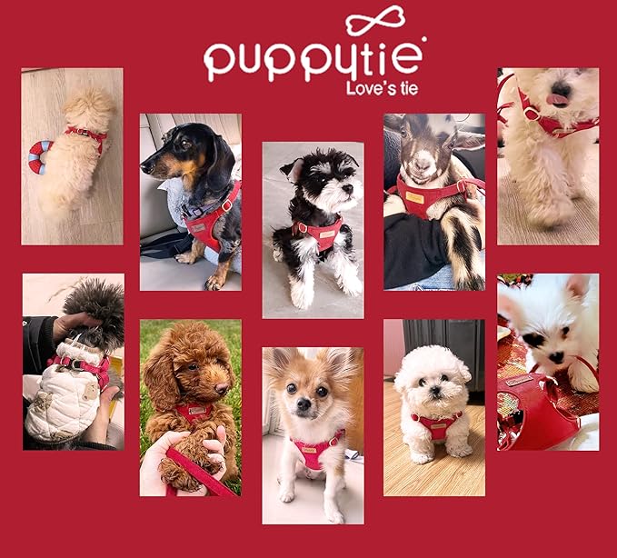 Puppytie No Pull Small Dog Harness with Multifunction Dog Leash,Lightweight Soft Adjustable No Choke Escape Proof Pet Harness Vest Pet Harness Vest,red-Camellia,S