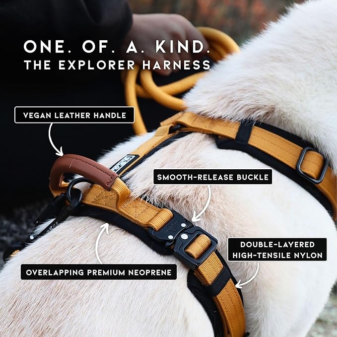 MADE TO ROAM Premium Explorer Harness - Y-Shaped Dog Harness with Adjustable Durable Nylon, Soft Padding, Metal Buckles and Leather Handle for Small, Medium, Large Dogs (Florida Seaside, Size 2)