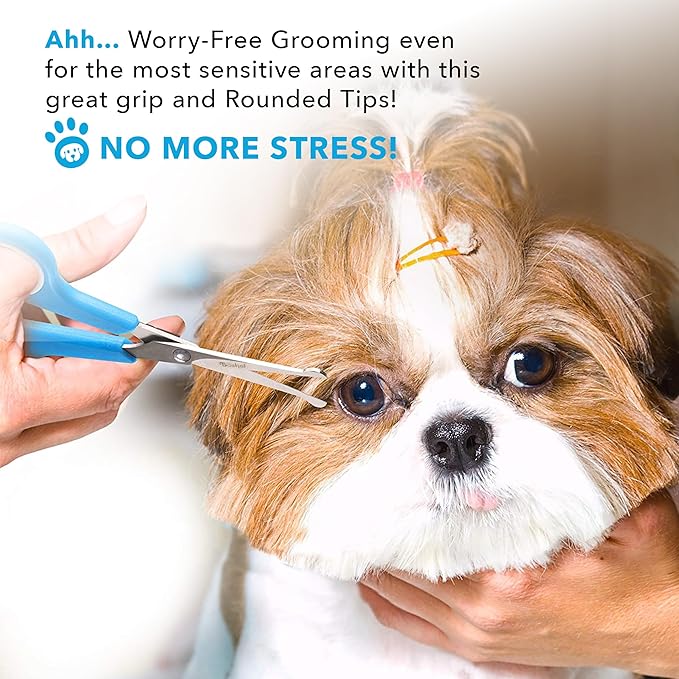 BOSHEL Dog Grooming Scissors for Dogs at Home (2 Pc) - Razor Sharp Stainless Steel Dog Scissors for Grooming - Professional Pet Scissor Set for Dogs & Cats - Best Pet Shears with Rounded Safety Tips