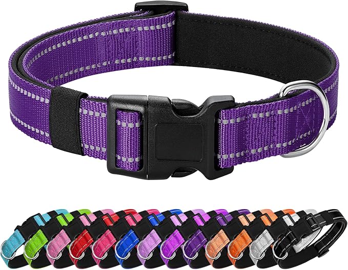 Reflective Dog Collar Padded with Soft Neoprene Breathable Quick Release Basic Dog Collars for Puppy Small Dogs Girl Purple