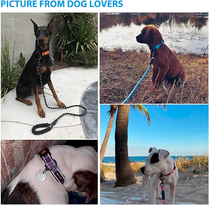 Heavy Duty Dog Leash - Comfortable Padded Handle, 5 ft Long - Dog Leashes for Small Medium Large Dogs (Leash+Collar XS Neck 10.5"-13.5", Blue)