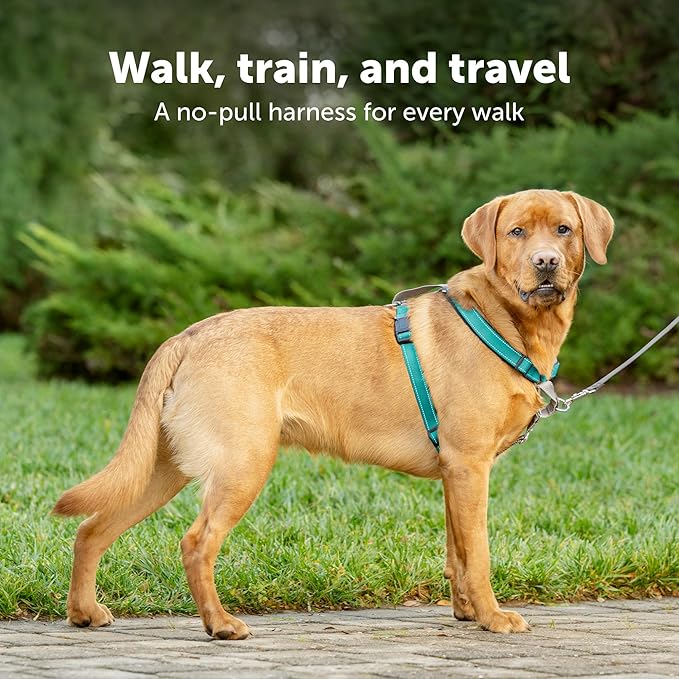 PetSafe 3 in 1 Dog Harness - No Pull Solution for Dogs - Reflective Dog Harness - Front D-Ring Clip Helps Stop Pulling - Comfortable Padded Straps - Top Handle Enhances Control - Black - Extra Small
