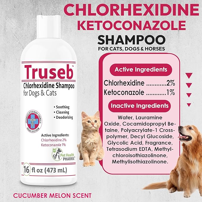 Truseb Topical Ketoconazole and Chlorhexidine Shampoo for Dogs, Cats & Horses with Aloe Vera and Conditioner(USA) (Ketoconazole & Chlorhexidine Shampoo, 16 oz)