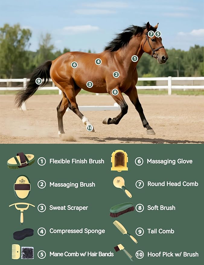 11PCS Horse Grooming Kit Curry Comb Sweat Scraper Horse Bathing Supplies Grooming Tools with Storage Bag Pasture Glow